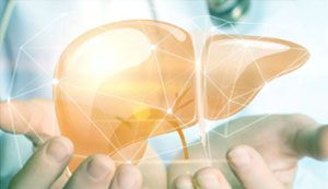 hormone therapy liver hormone therapy liver
