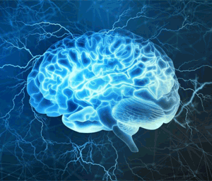Brain xray Brain xray