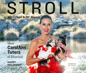 Stroll Magazine Stroll Magazine